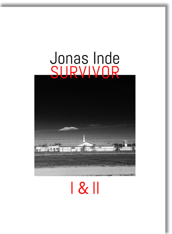 Survivor by Jonas Inde